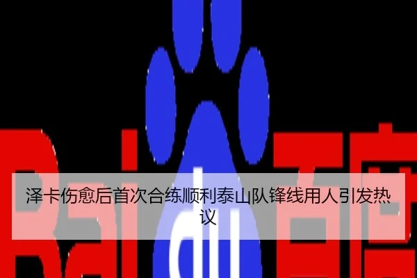 泽卡伤愈后首次合练顺利泰山队锋线用人引发热议
