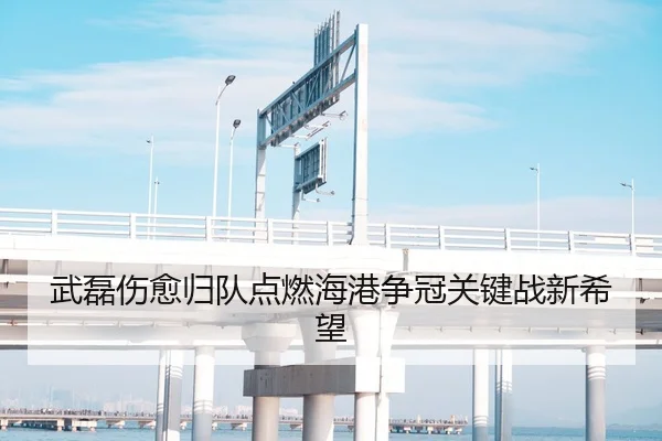 武磊伤愈归队点燃海港争冠关键战新希望